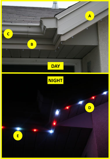 Day Vs Night